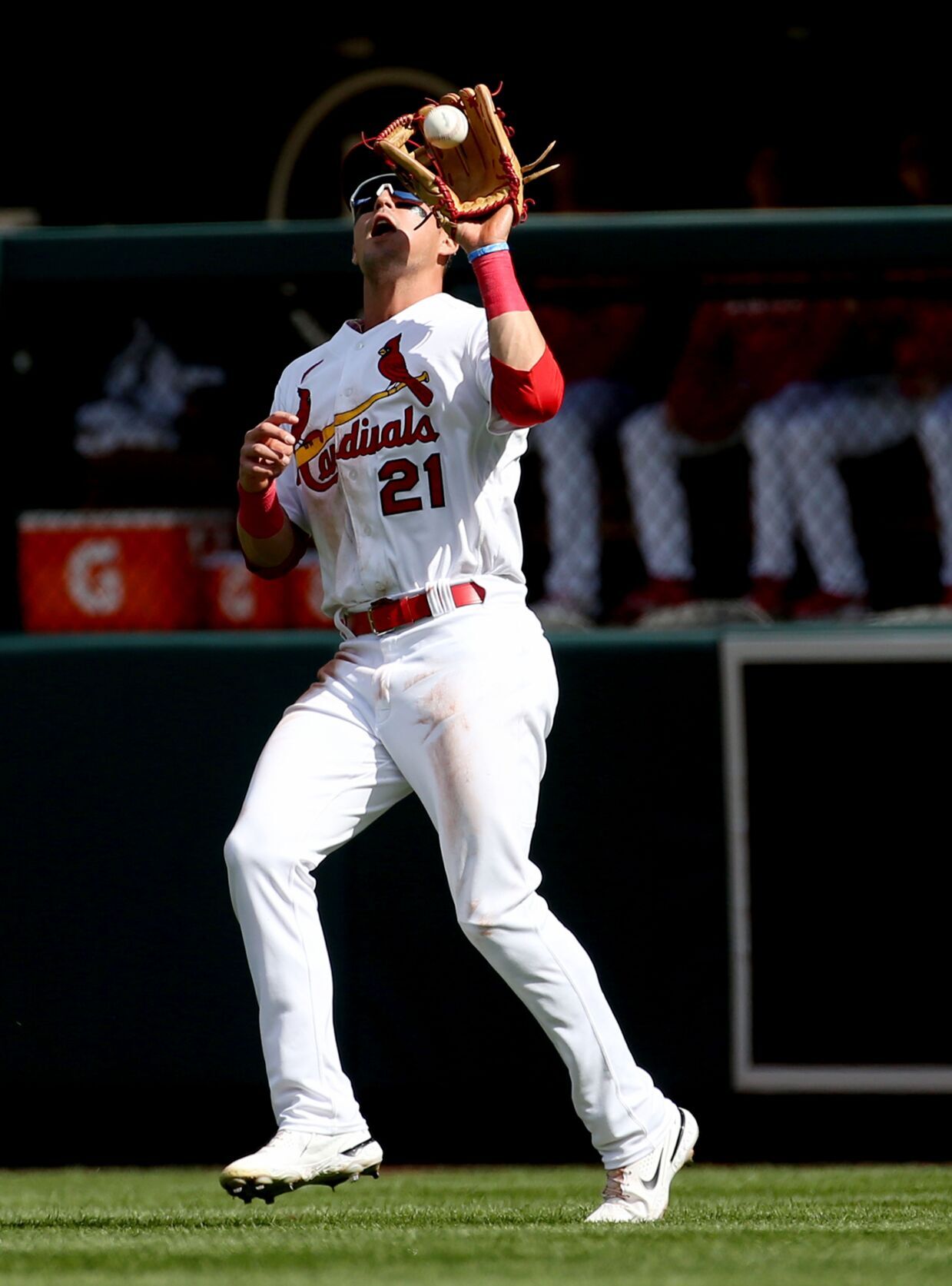 St. Louis Cardinals kick off National League Wild Card series against Philadelphia Phillies